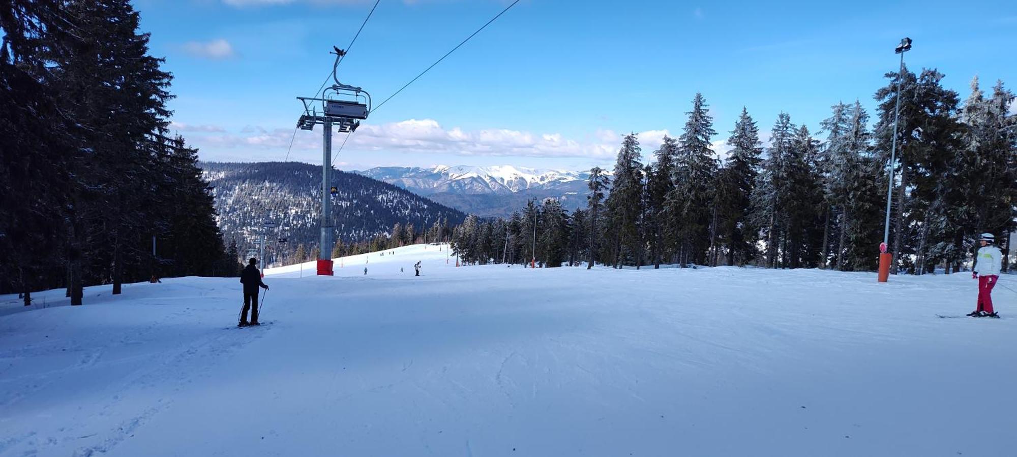 Pensiunea Piatra Mandrutului Скэришоара Экстерьер фото