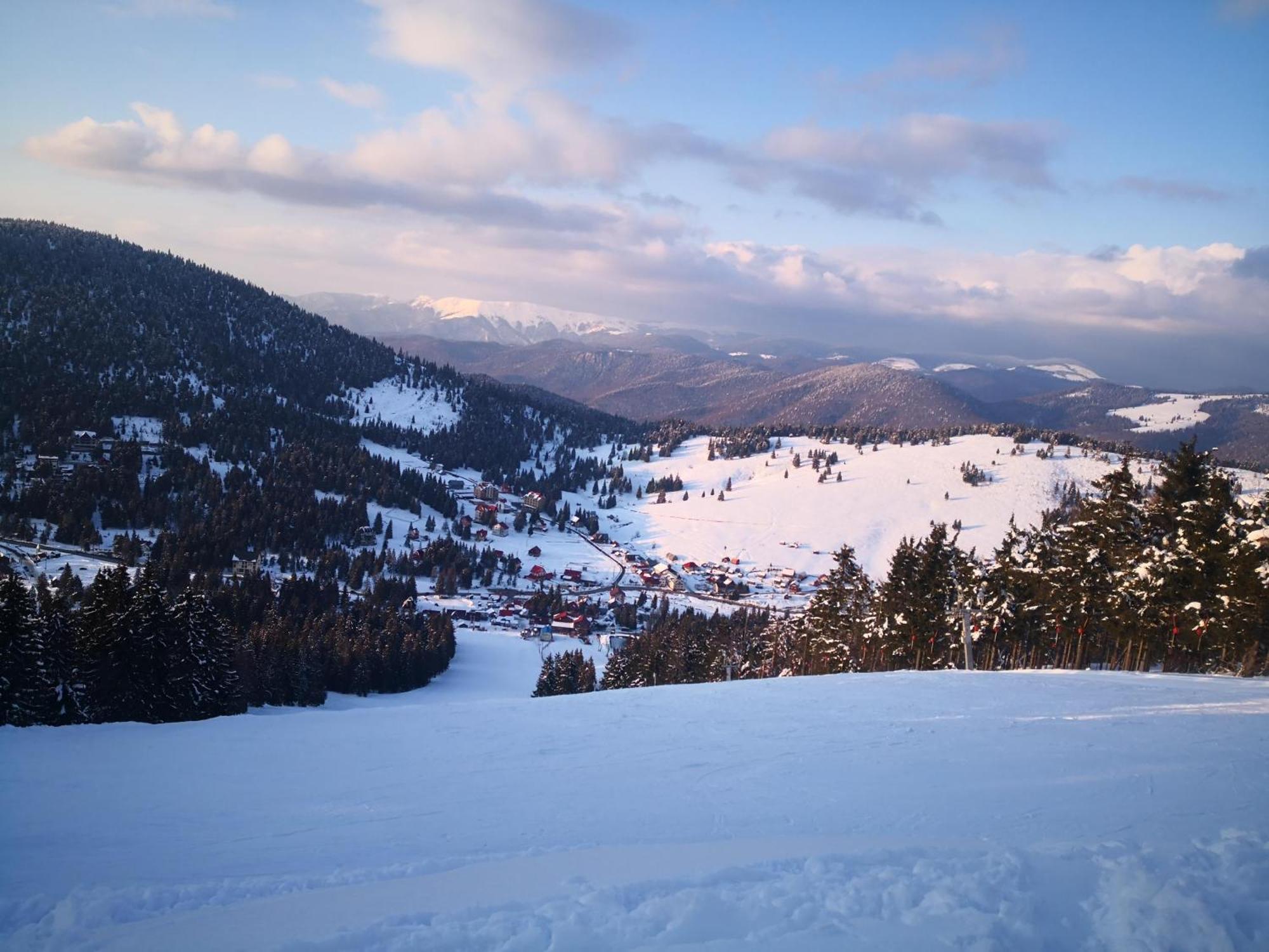 Pensiunea Piatra Mandrutului Скэришоара Экстерьер фото