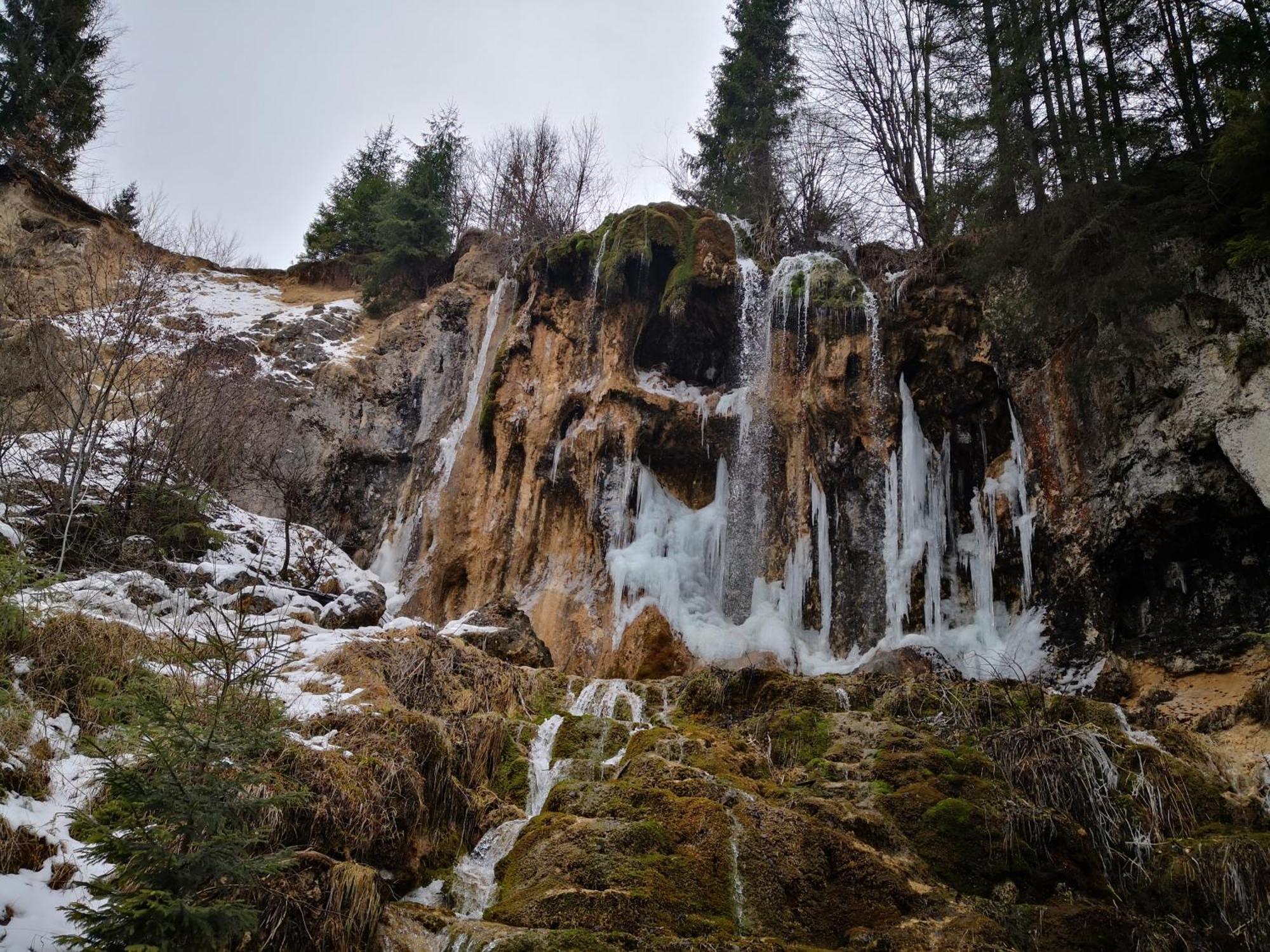 Pensiunea Piatra Mandrutului Скэришоара Экстерьер фото