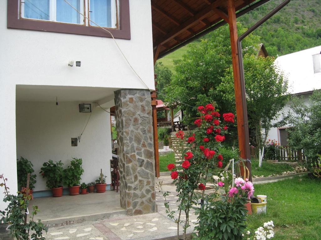 Pensiunea Piatra Mandrutului Скэришоара Экстерьер фото