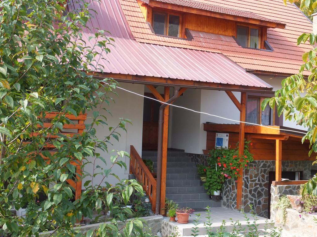Pensiunea Piatra Mandrutului Скэришоара Экстерьер фото