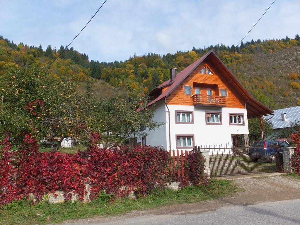 Pensiunea Piatra Mandrutului Скэришоара Экстерьер фото