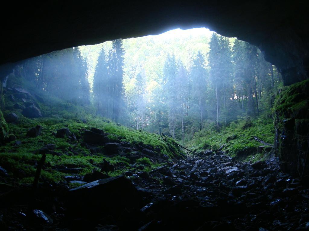 Pensiunea Piatra Mandrutului Скэришоара Экстерьер фото