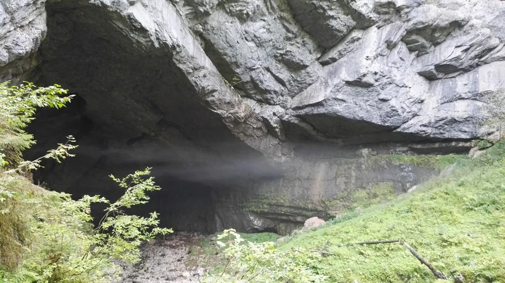 Pensiunea Piatra Mandrutului Скэришоара Экстерьер фото