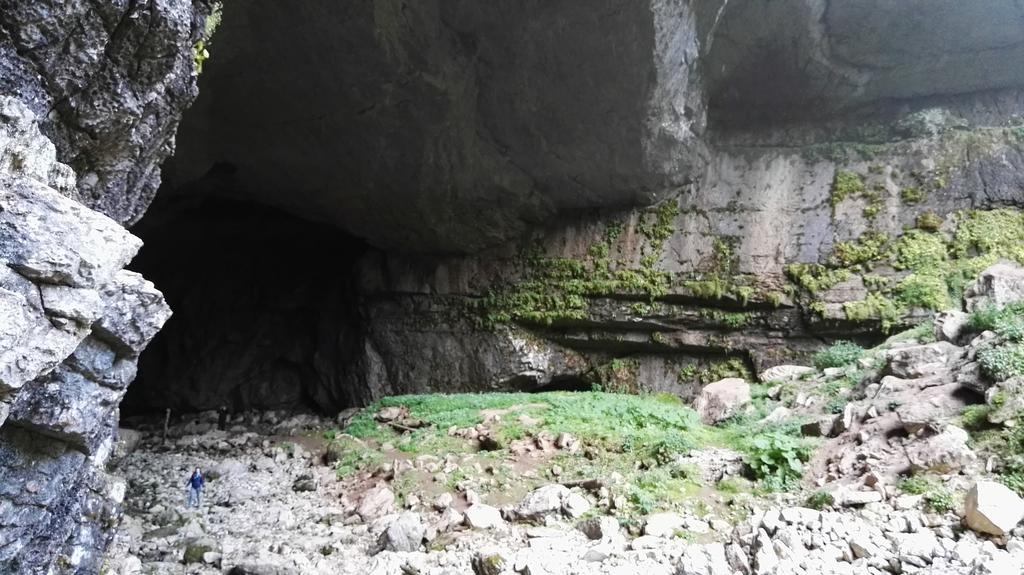 Pensiunea Piatra Mandrutului Скэришоара Экстерьер фото