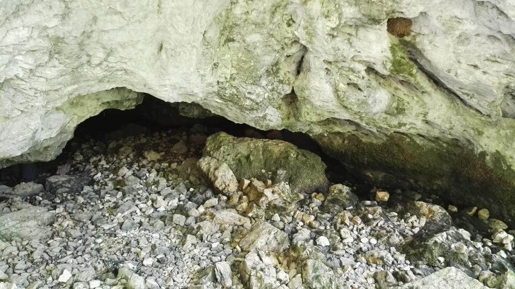 Pensiunea Piatra Mandrutului Скэришоара Экстерьер фото