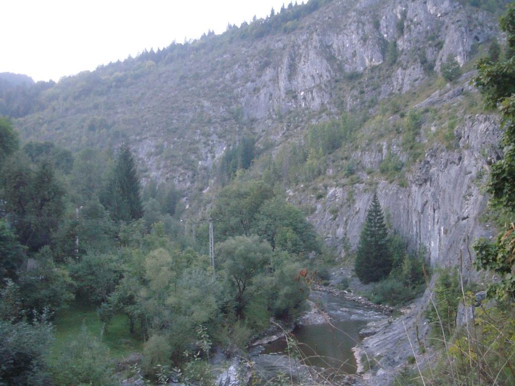 Pensiunea Piatra Mandrutului Скэришоара Экстерьер фото